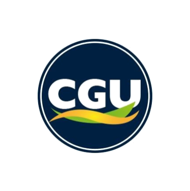 Mr Marcelo Pontes Vianna